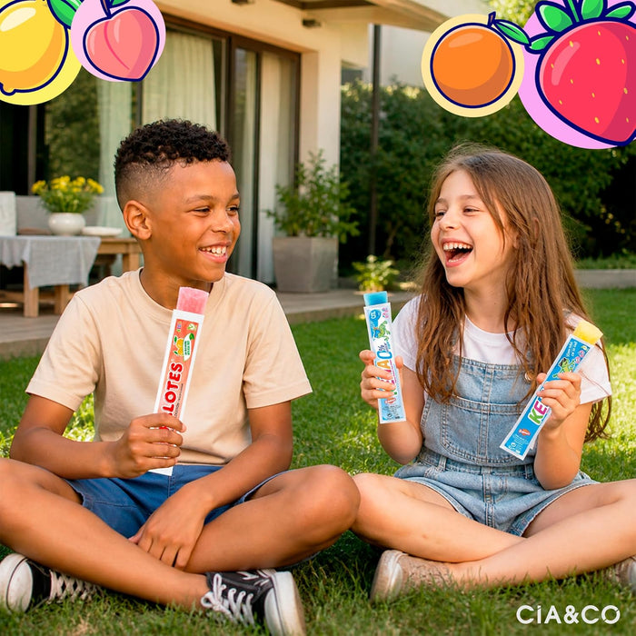 Pack ahorro de 24 polos para congelar con formato individual y sabores refrescantes.