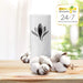 Air Wick Freshmatic Max, Pack de 4 Recambios de Ambientador con aroma a Jazmín y Flores Blancas. Perfuma tu hogar y neutraliza olores de forma continua hasta 240 días. Air Wick - lateral
