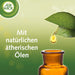 Air Wick Freshmatic Max, Pack de 4 Recambios de Ambientador con aroma a Jazmín y Flores Blancas. Perfuma tu hogar y neutraliza olores de forma continua hasta 240 días. Air Wick - presentacion