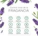 Pack de 3 Recambios para el difusor Air Wick Essential Mist con fragancia de Lavanda y Camomila, una mezcla de aceites esenciales que proporciona hasta 135 días de aroma. Air Wick - uso