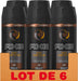 AXE Dark Temptation Desodorante y Body Spray para Hombre, Pack de 6x150ml (900ml). Una fragancia irresistible con notas de chocolate caliente, ámbar y pimienta roja para un olor duradero. Axe - extra