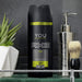 AXE You Desodorante Bodyspray para Hombre, 48h de Protección, Pack de 3x150ml. Fragancia masculina moderna con madera de ámbar y canela especiada. Axe - lateral
