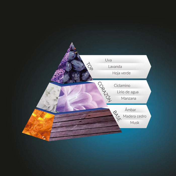 Magno Marine Gel de Ducha, Pack de 6 Unidades. Siente la frescura tonificante del mar en tu piel con esta fragancia revitalizante y su fórmula enriquecida con extracto de Ginkgo. Magno - detalle