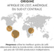 Surtido Nespresso Vertuo Barista Creations 50 Cápsulas. Pack de descubrimiento con cafés aromatizados y para leche: Vainilla, Caramelo, Avellana, Bianco Doppio y Bianco Forte para Vertuo. Nespresso - detalle