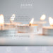 Pajoma Pack de 100 Velas de Té de Larga Duración (8 Horas): Velas blancas sin perfume ideales para hostelería, eventos, decoración del hogar y crear ambientes cálidos. Pajoma - pack