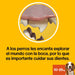 Pedigree Dentastix para Perros Medianos, pack ahorro de 56 sticks. Snack dental de uso diario para una higiene oral completa, reduce el sarro y mantiene el aliento fresco. Pedigree - detalle